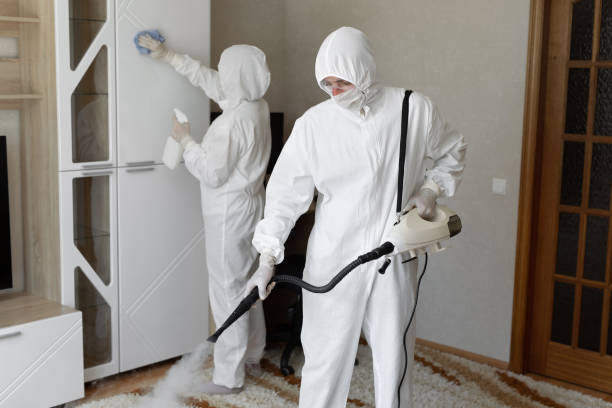 Best Emergency Mold Removal  in Dublin, OH