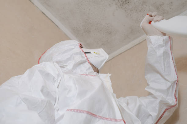 Best Crawl Space Mold Removal  in Dublin, OH